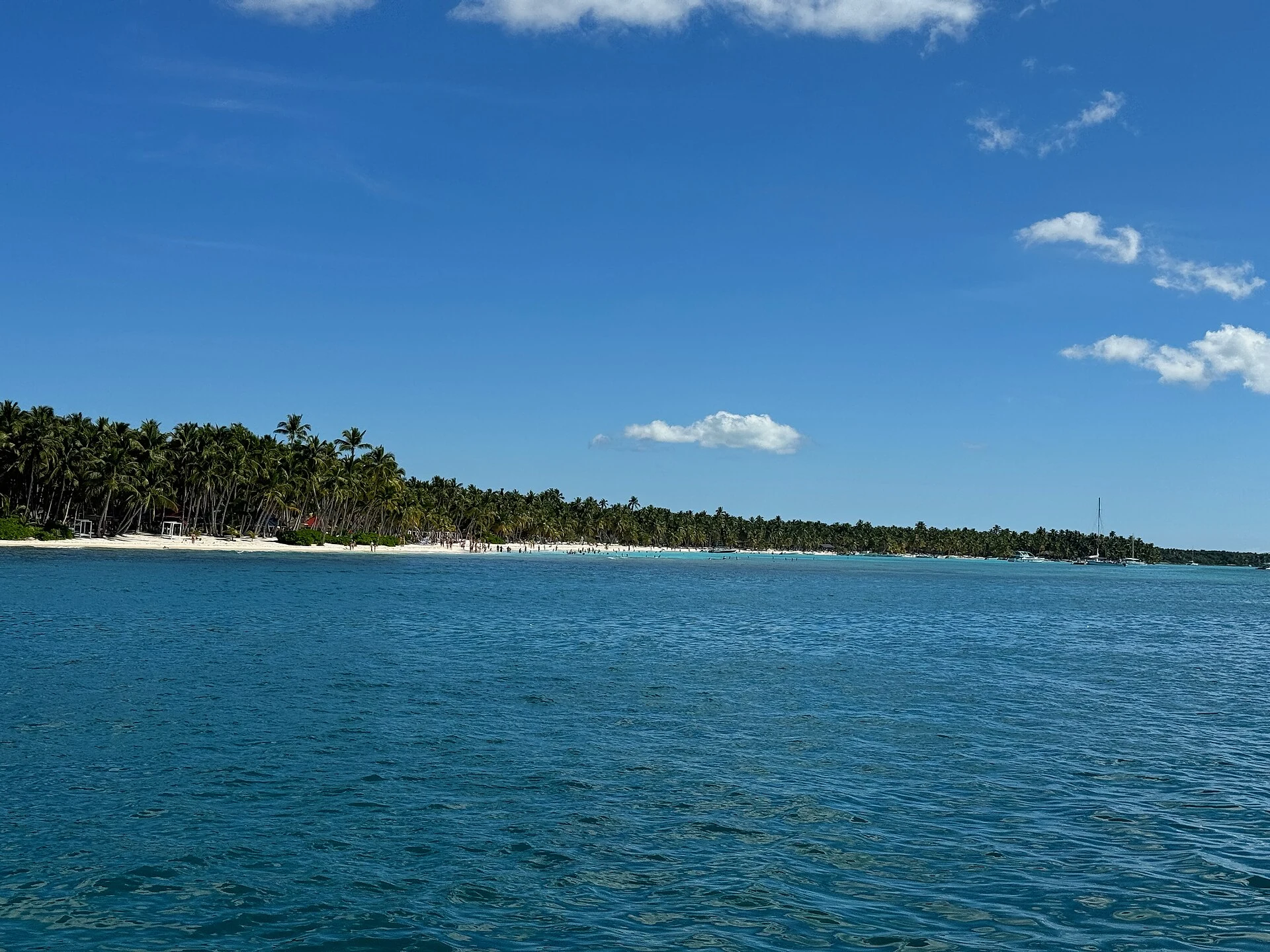 Uma longa praia de areia branca e floresta de palmeiras vistas através da água azul de Saona