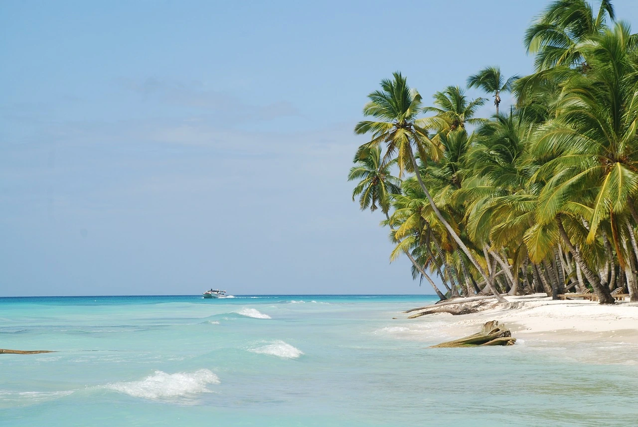 Piccole onde bagnano la riva di sabbia bianca di Saona sotto palme da cocco inclinate, accanto all’acqua turchese trasparente.