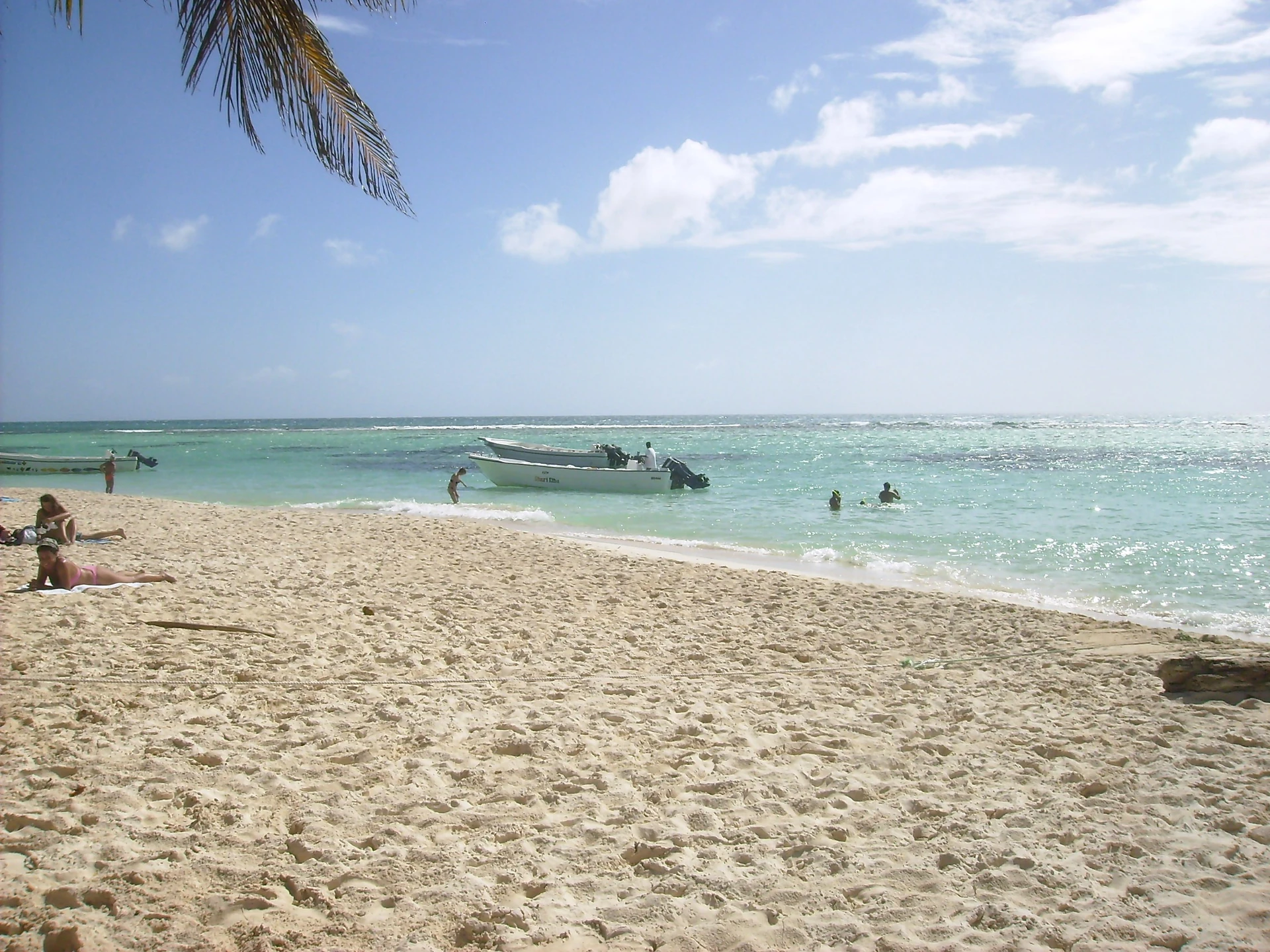Sabbia bianca e acqua turchese trasparente circondano piccole barche a motore e bagnanti sotto una fronda di palma sull’isola di Saona.