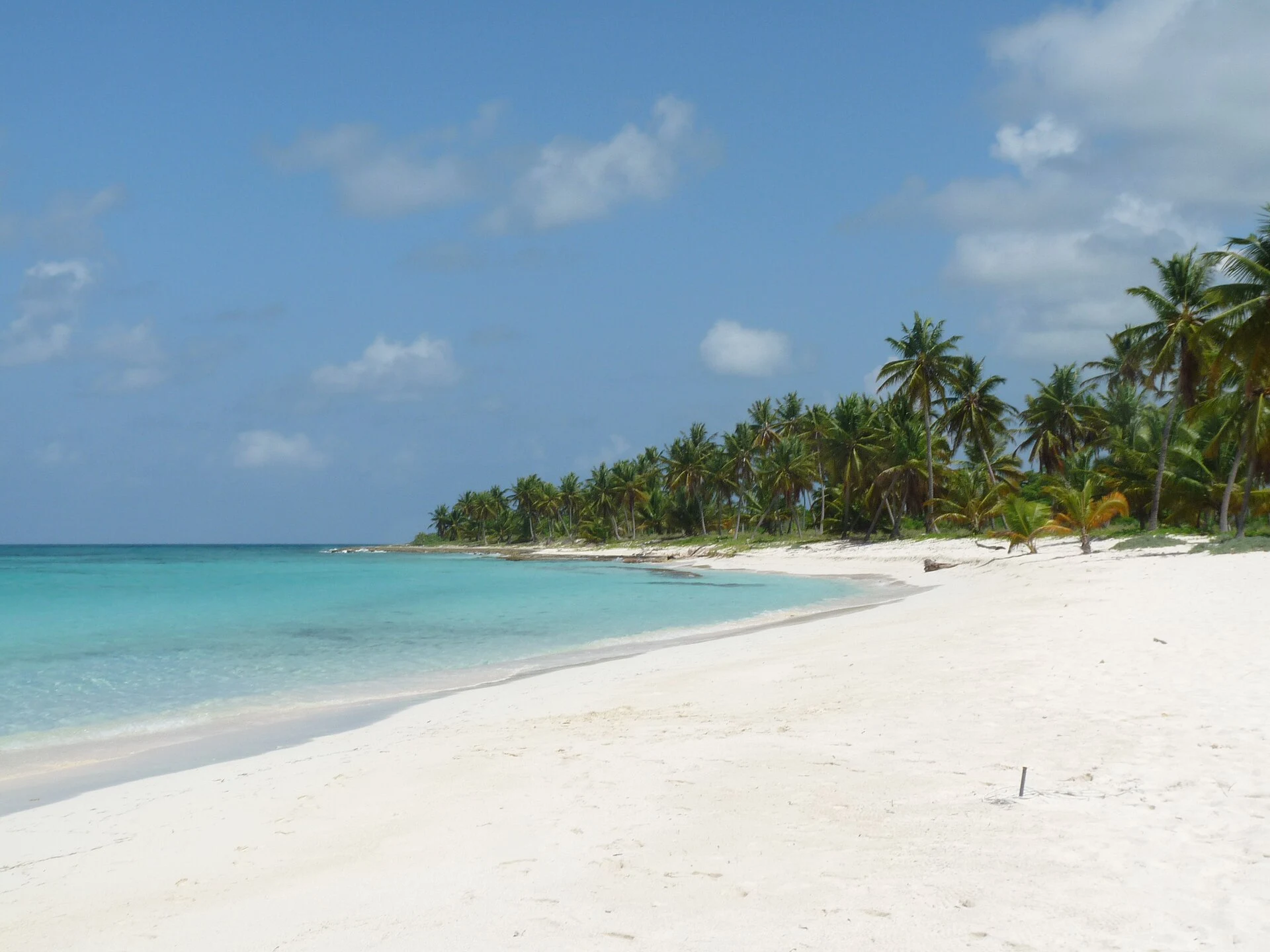 A quiet white-sand shoreline on Saona Island; exact beach unverified