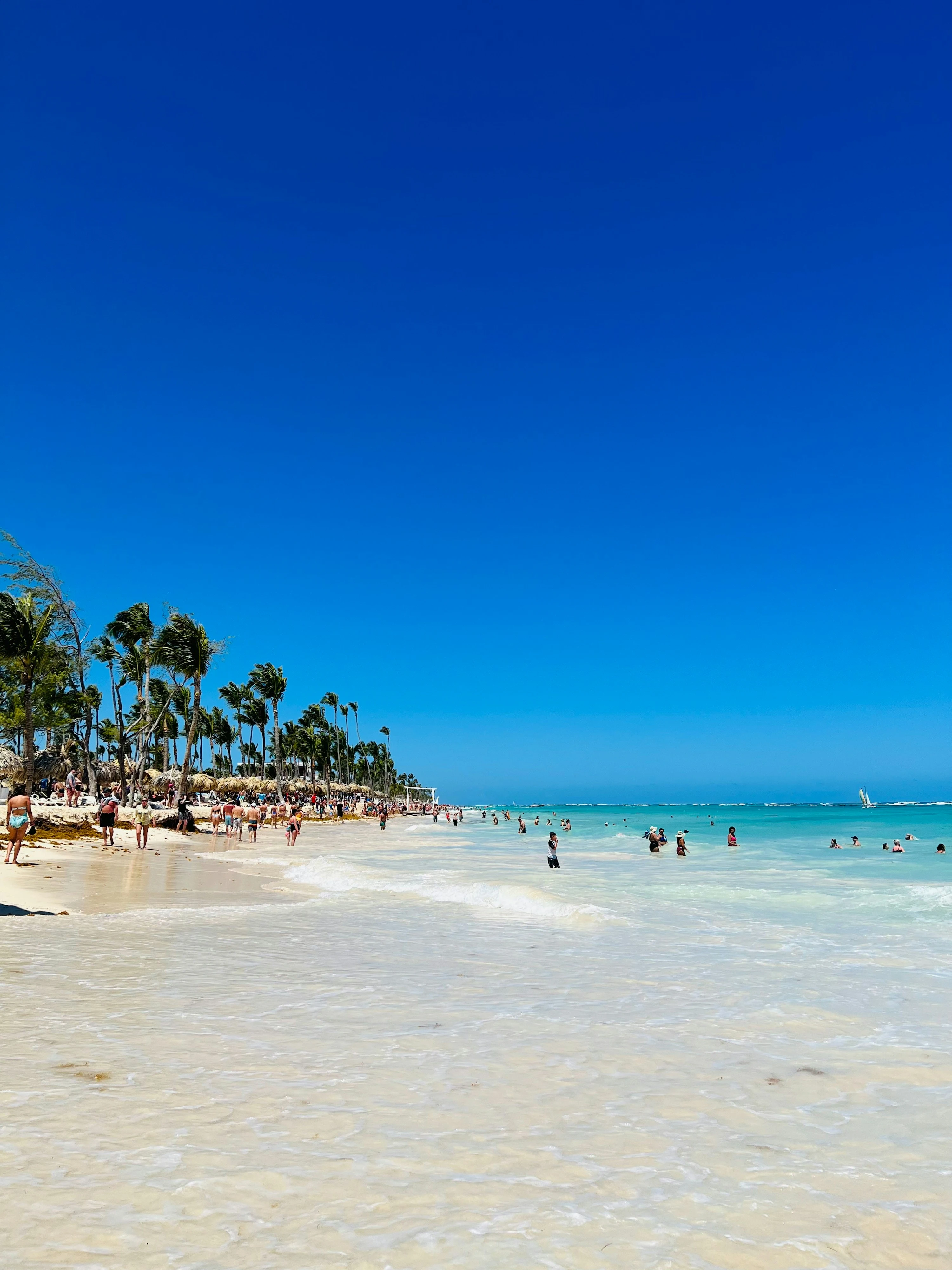 I visitatori si godono acque turchesi poco profonde lungo una spiaggia di sabbia bianca e palme a Saona.