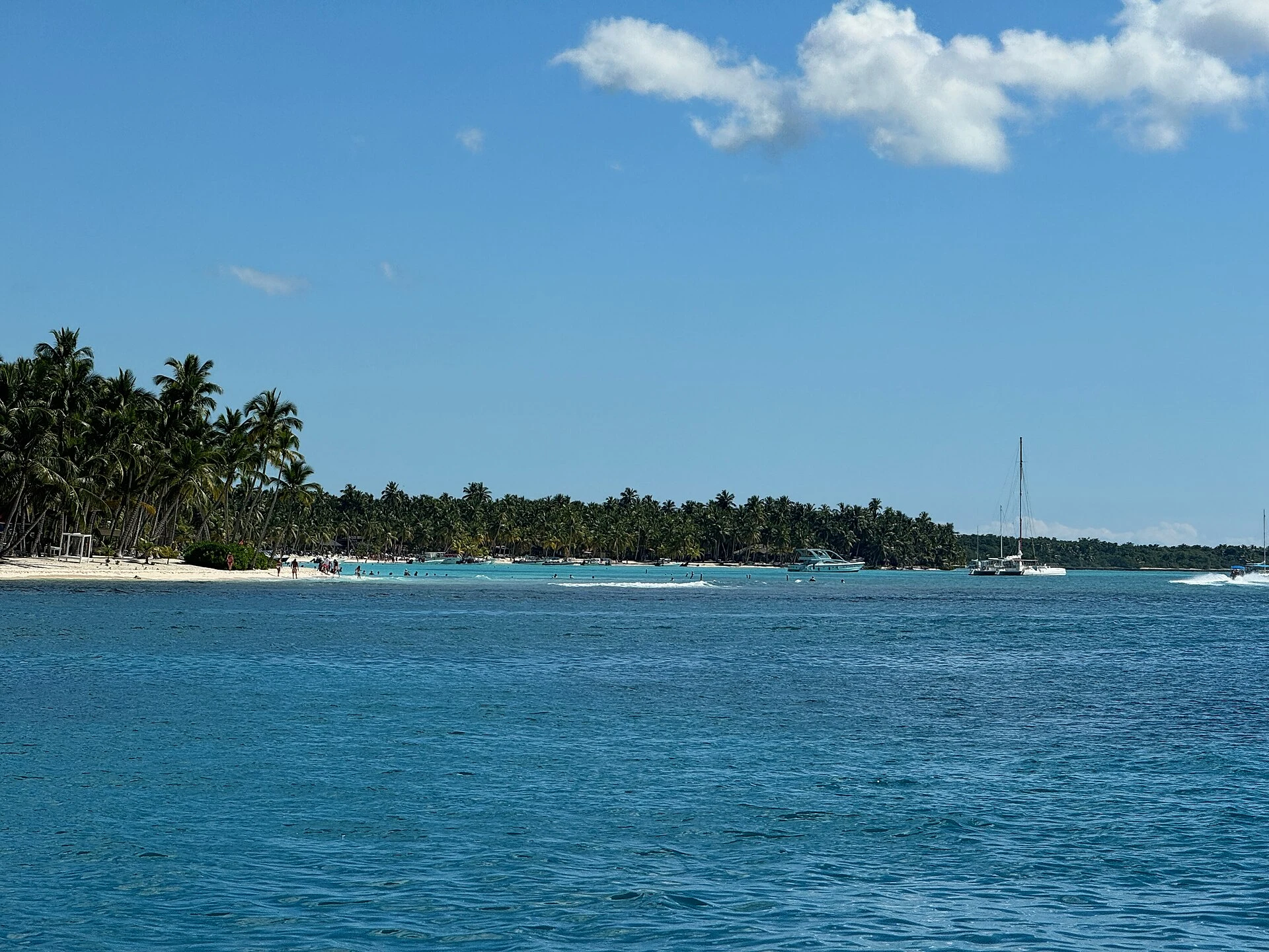 Um veleiro diante da costa branca e dos coqueiros densos de Saona
