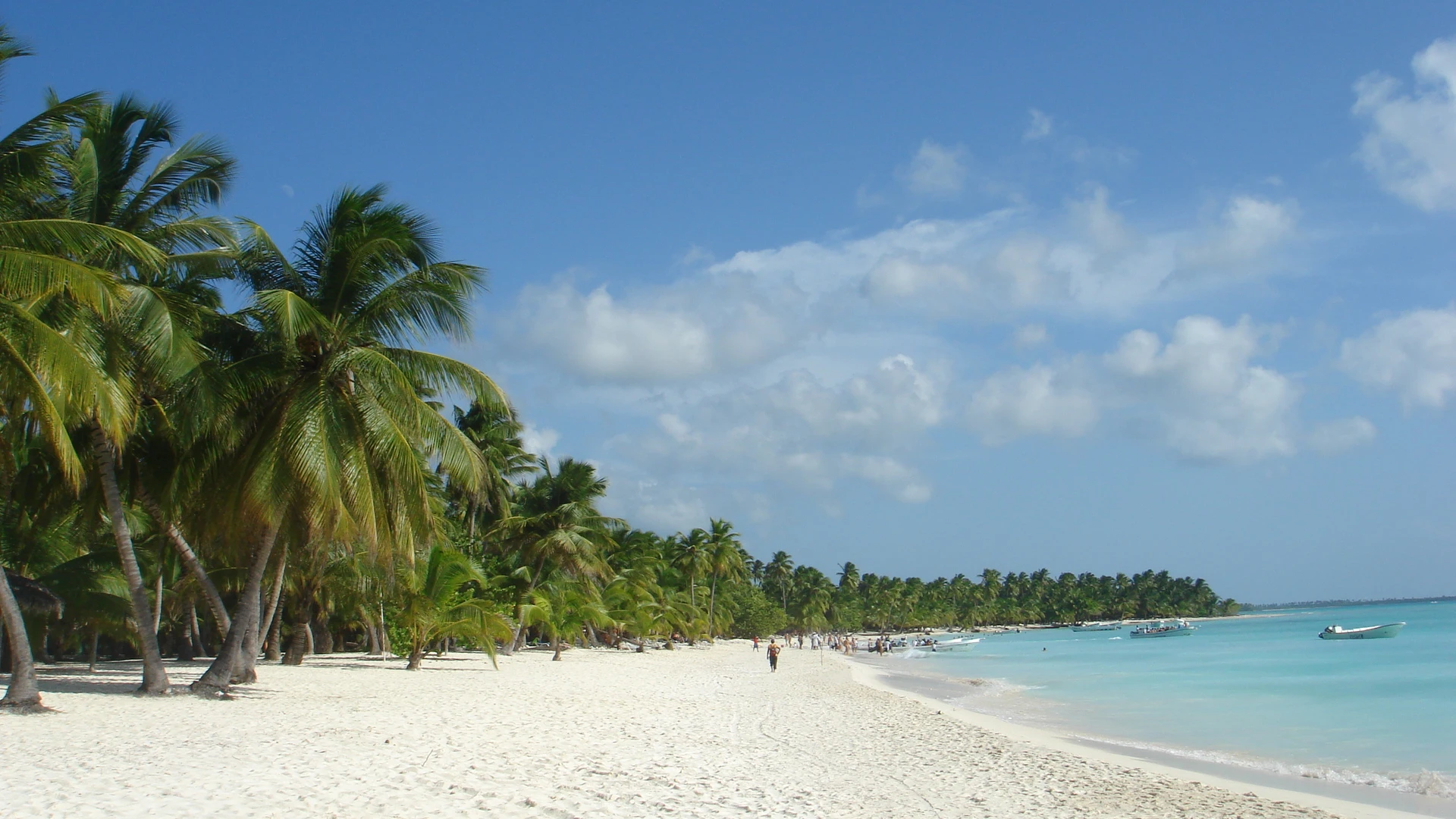 Un’ampia spiaggia bianca di Saona curva accanto al mare turchese, con palme da cocco lungo la riva.