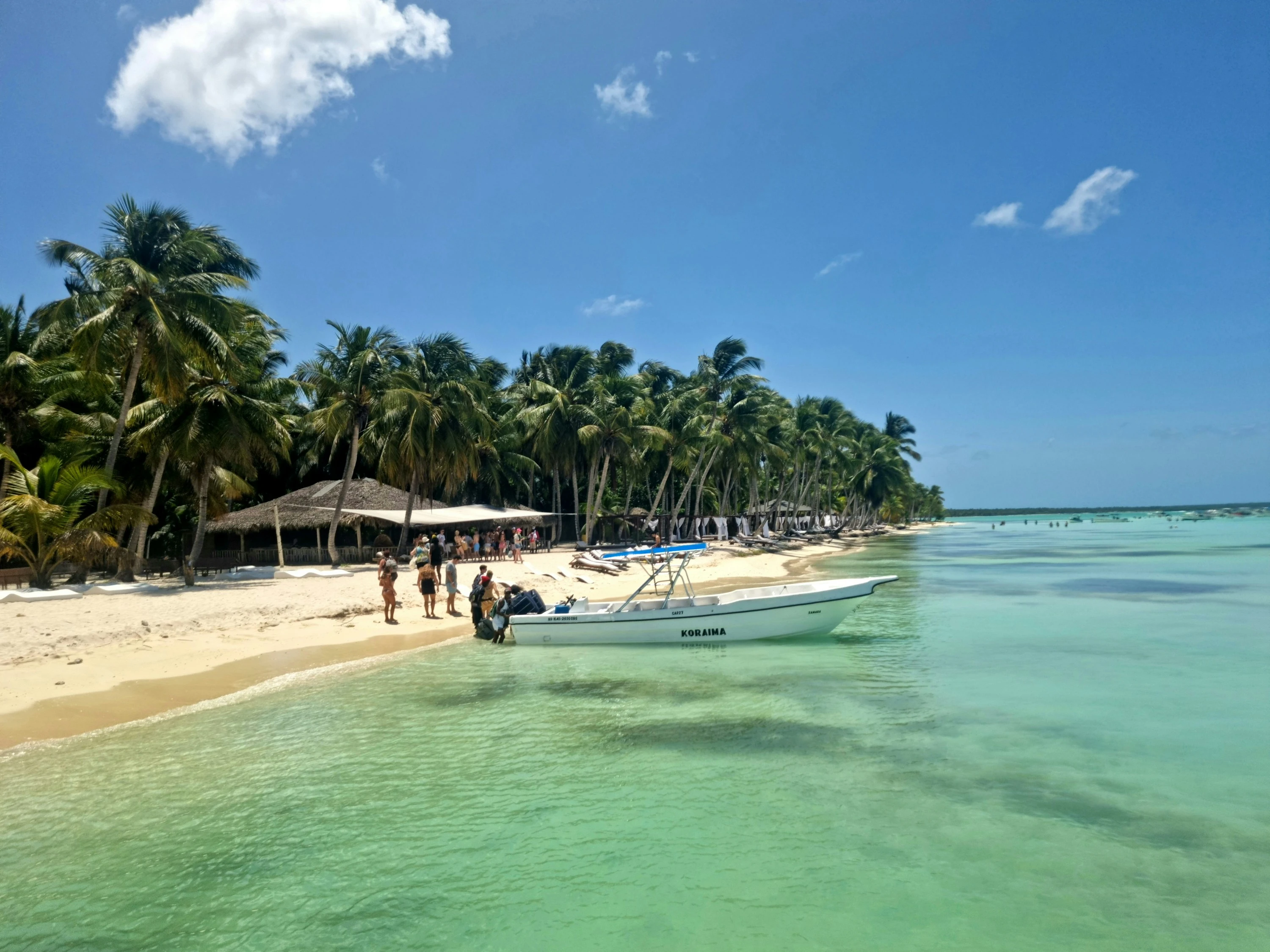 Piccole barche sostano in acque limpide e poco profonde accanto a una spiaggia di Saona bordata di palme.