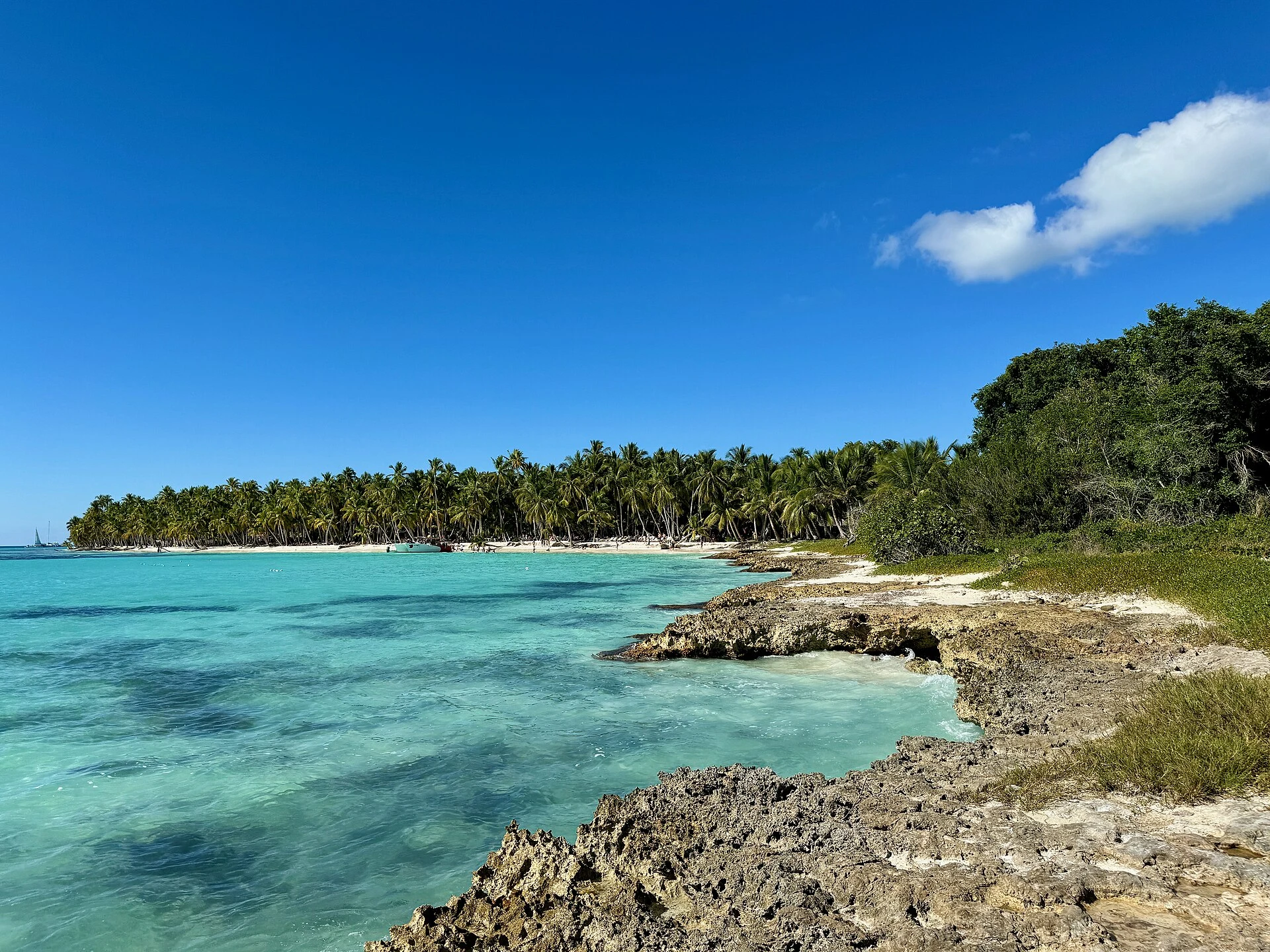 Agua turquesa transparente junto a la costa rocosa natural de Saona bordeada de palmeras