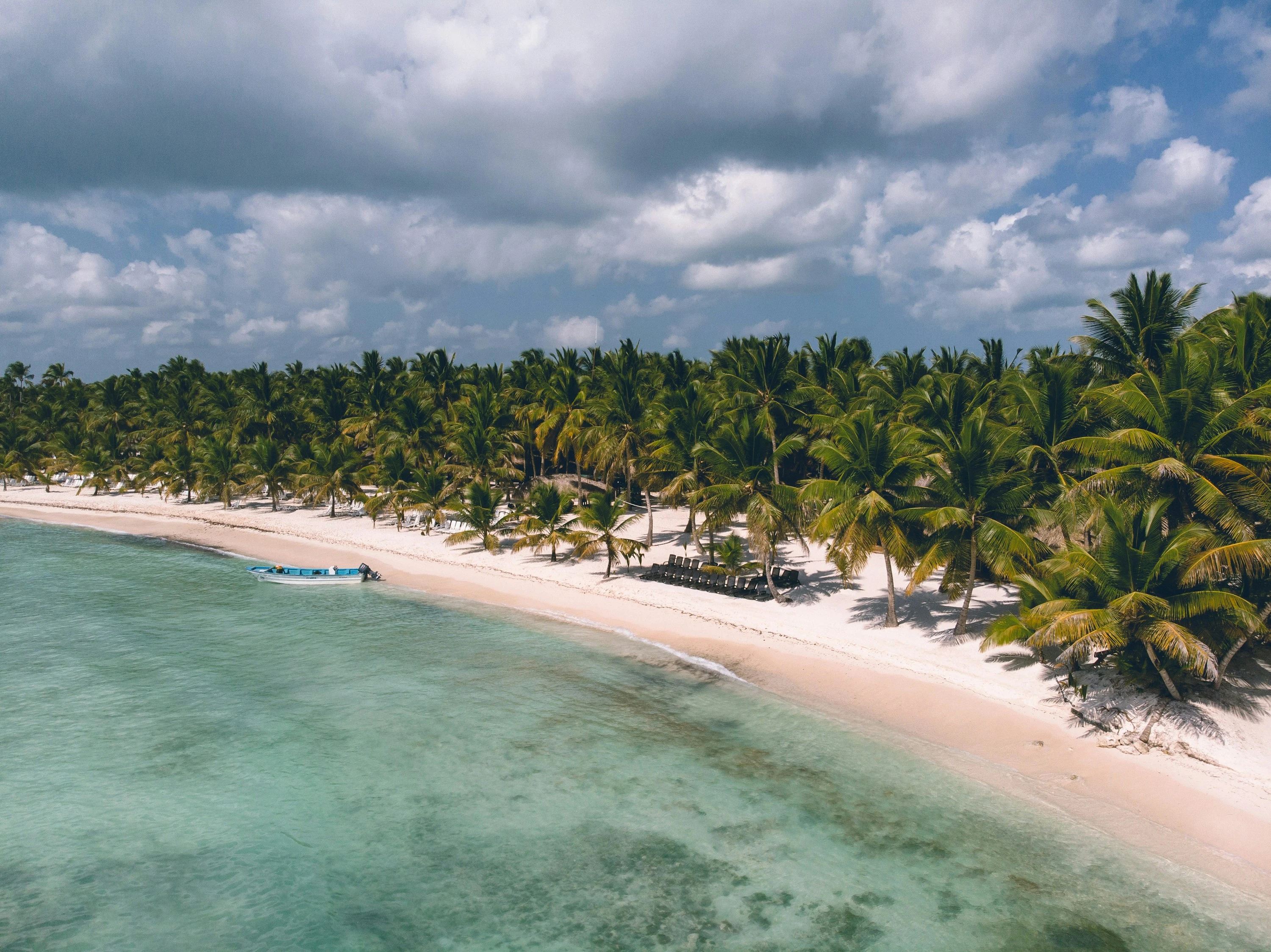 Una vista aerea segue la costa chiara di Saona tra un palmeto e acque limpide.