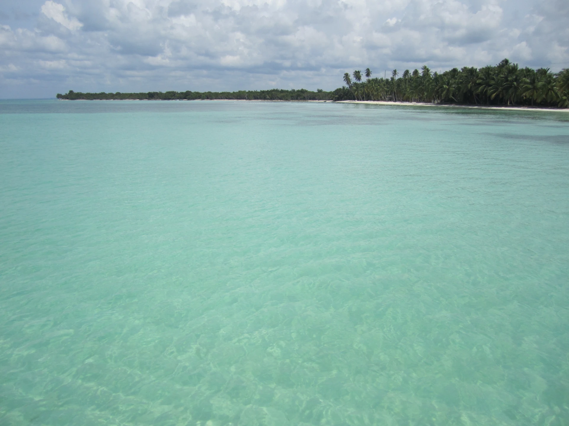 Aguas turquesas transparentes se extienden hacia una punta de arena baja bordeada de palmeras en la isla Saona.