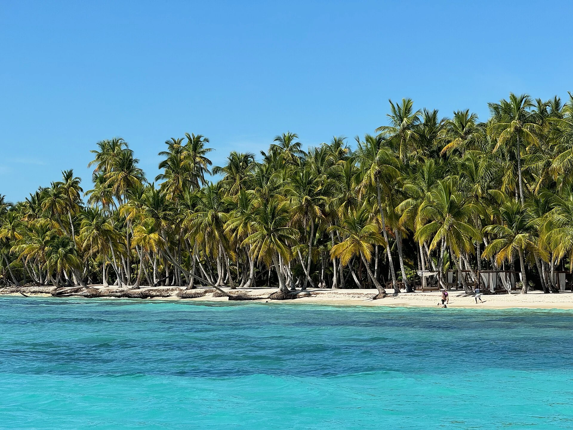 Baia di sabbia bianca a Saona sotto una fitta fila di palme da cocco