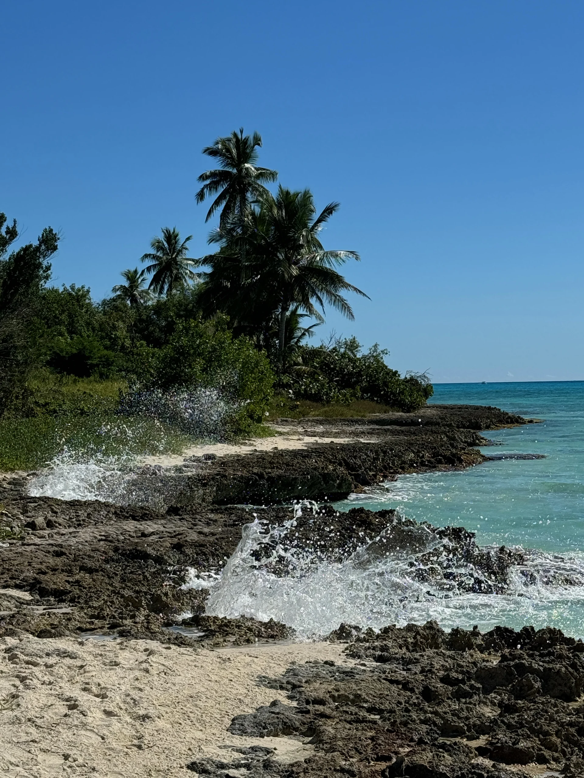 Le onde spruzzano contro la costa rocciosa di Saona accanto a sabbia chiara, palme da cocco e acqua turchese.
