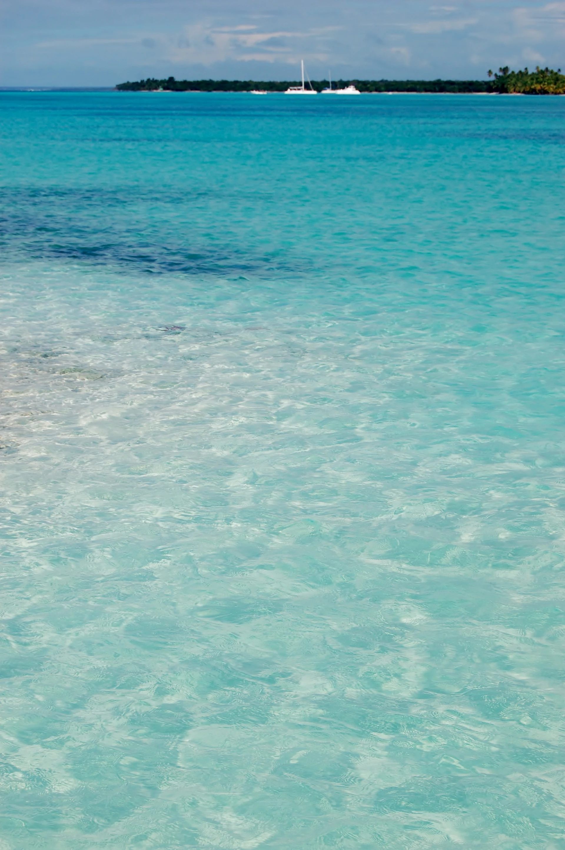 La luce del sole crea riflessi sui bassi fondali turchesi e limpidi fotografati durante una visita all’isola di Saona.