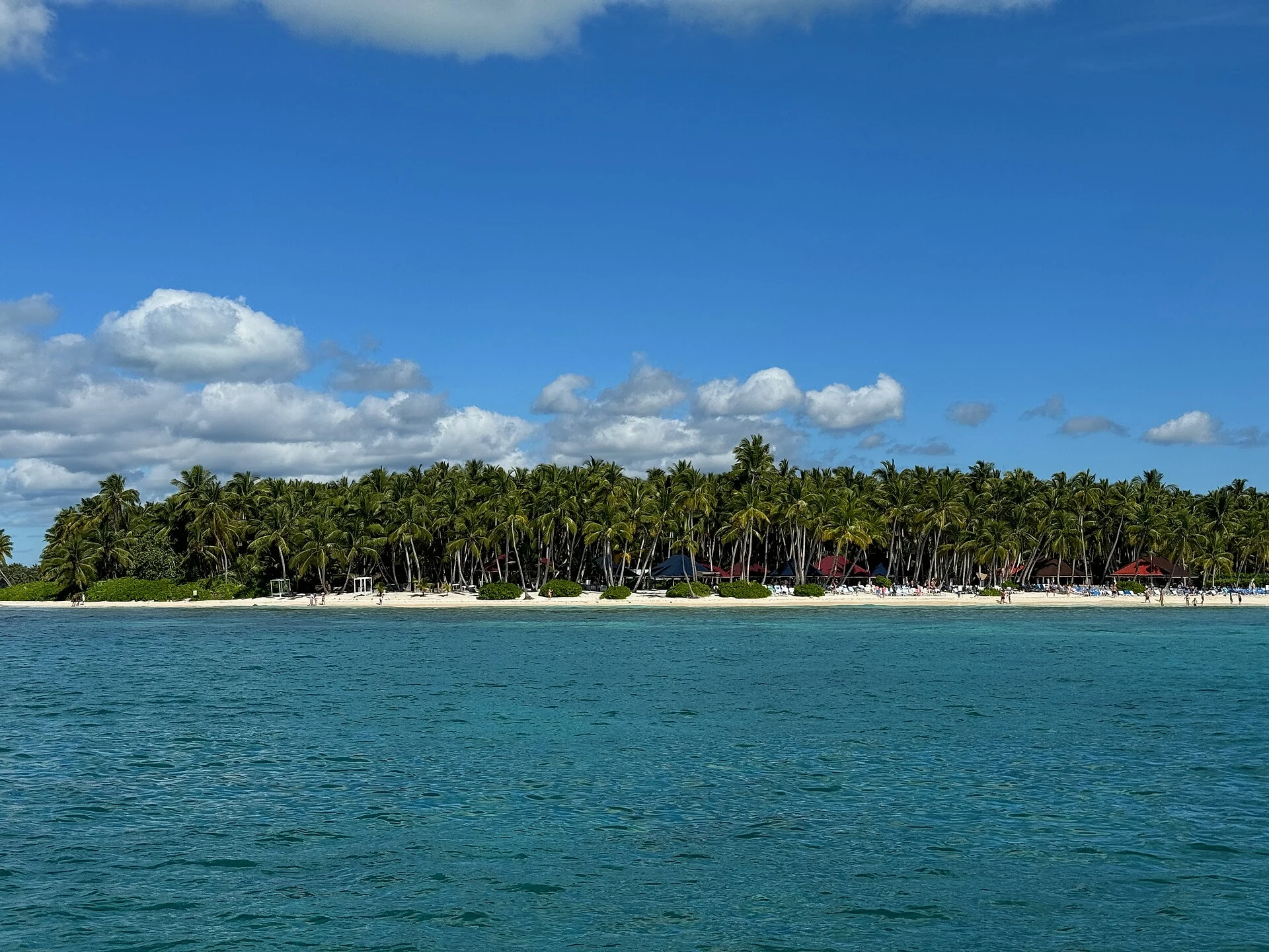 Una spiaggia soleggiata di Saona e un palmeto oltre l’acqua caraibica turchese e limpida