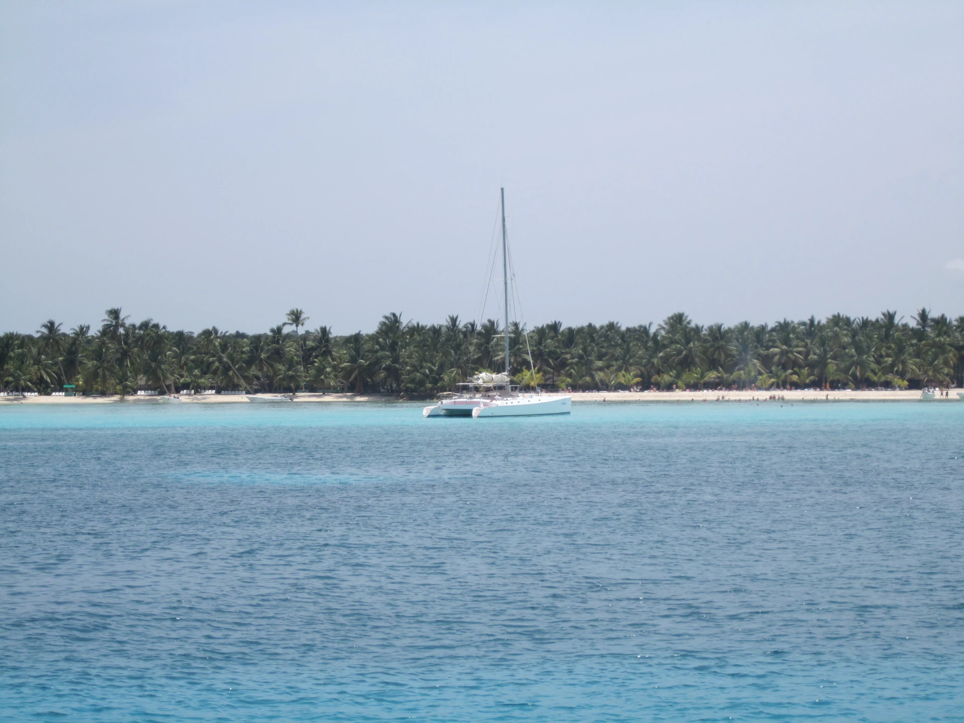 Un catamarano bianco si trova al largo della spiaggia bianca di Saona orlata di palme, in acque turchesi.