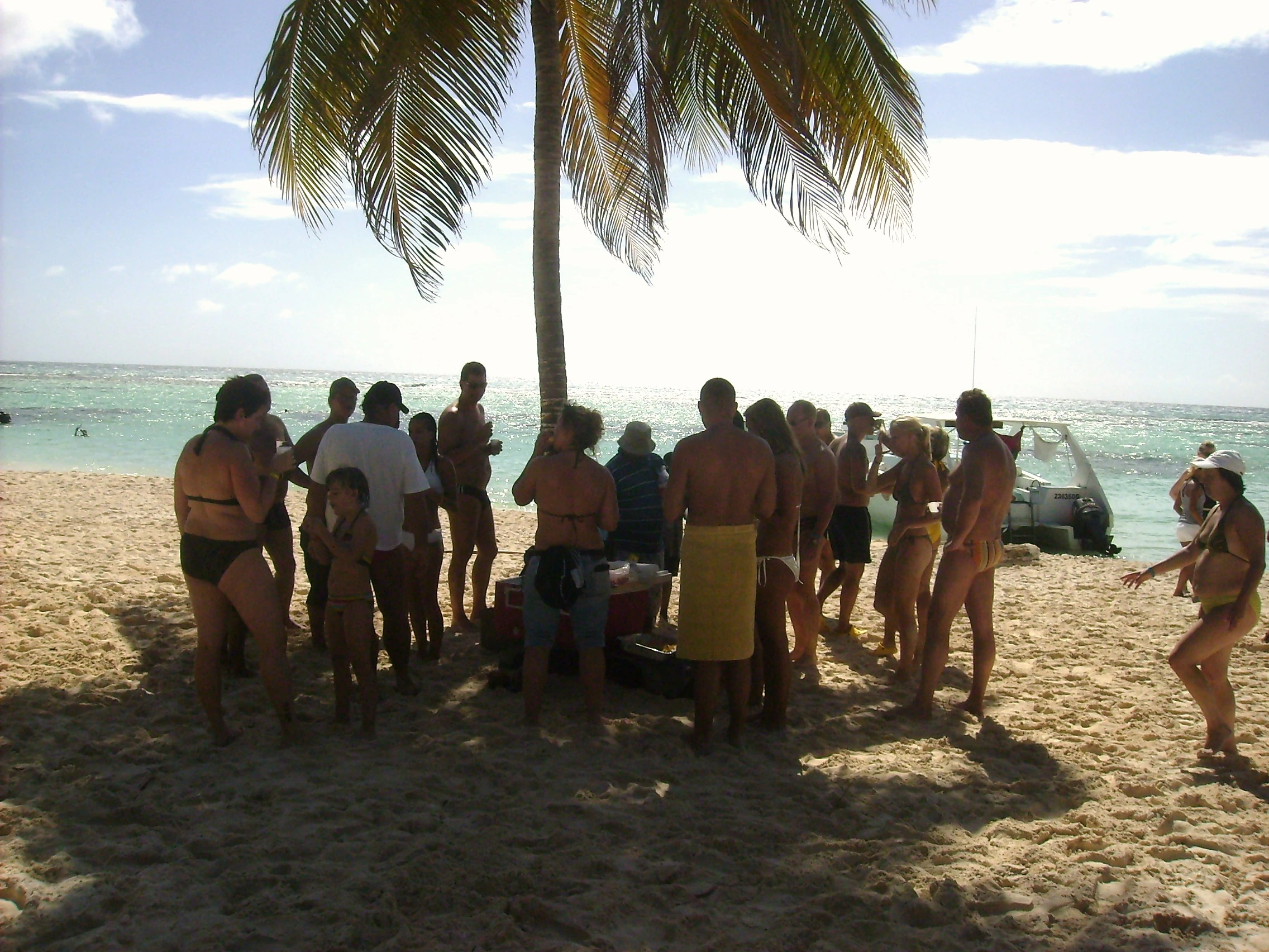 Eine Gruppe versammelt sich im Schatten einer Kokospalme an Saonas Strand.