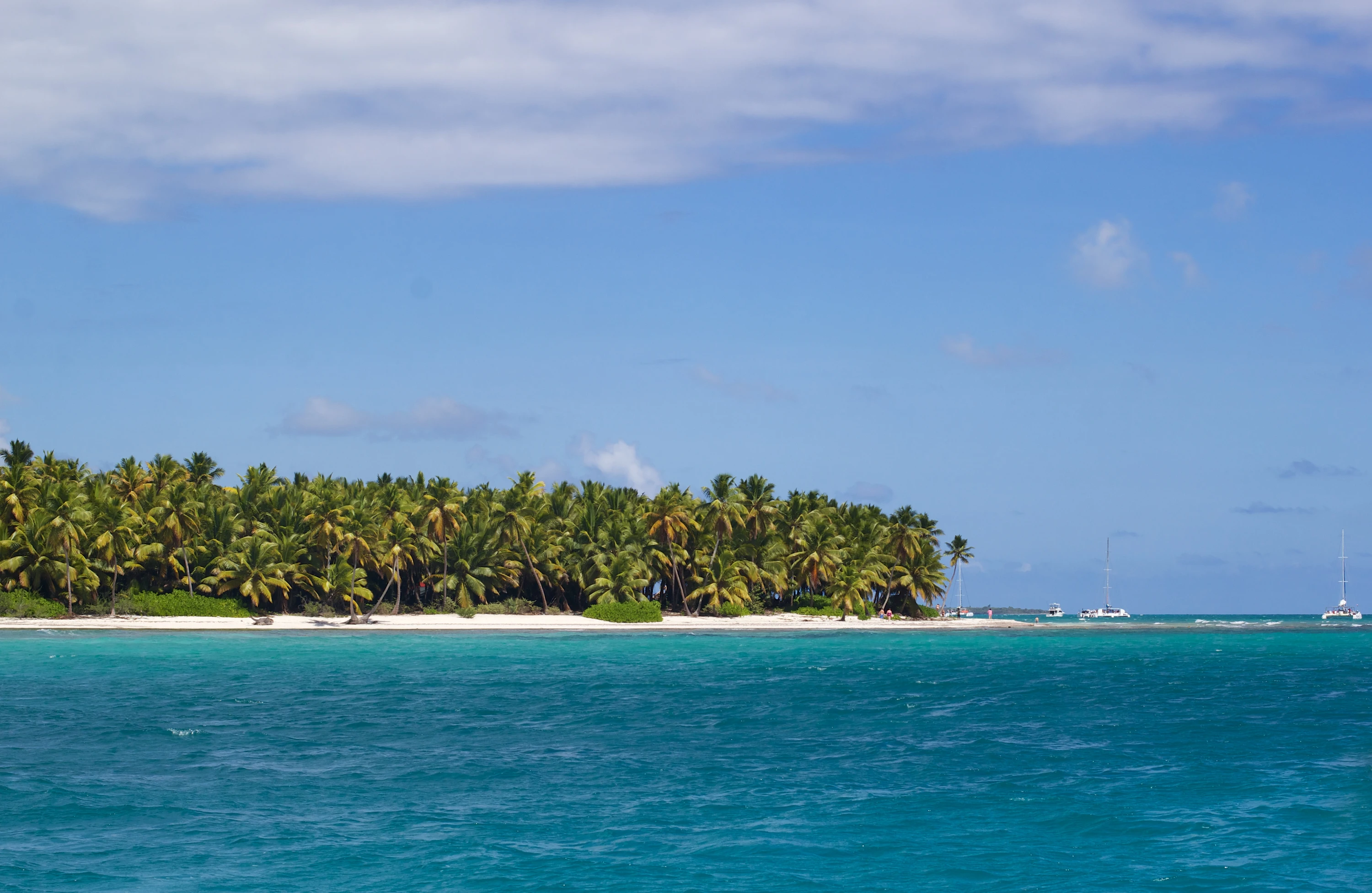 Fitte palme da cocco si innalzano su una costa bianca di Saona vista attraverso acque turchesi e limpide.